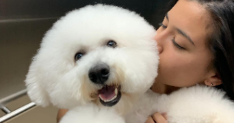 maria belen dog sitter à LYON 07 69007_2