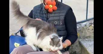 sandra pet sitter à VILLEJUST 91140