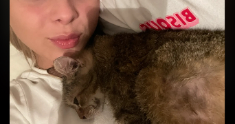 susan pet sitter à LILLE 59800_1