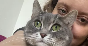 amira pet sitter à ST OUEN SUR SEINE 93400