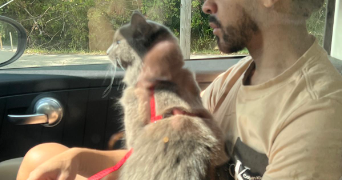 nelson pet sitter à ST ANDRE DE CUBZAC 33240_2