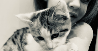 celia pet sitter à CHISSEY EN MORVAN 71540_0