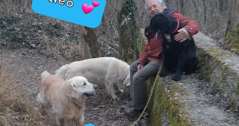 angela pet sitter à STRASBOURG 67200_8