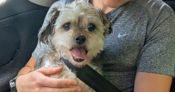 chloé pet sitter à GRENOBLE 38100_6