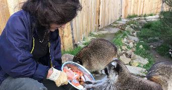 celia pet sitter à CHUZELLES 38200_3