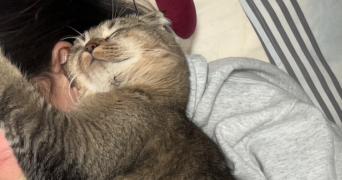 albane pet sitter à CLAMART 92140_2