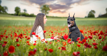 ines pet sitter à ST CHRISTOPHE SUR DOLAISON 43370_9