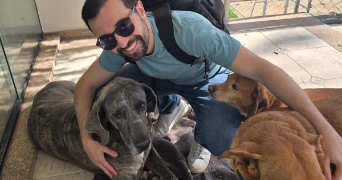 caio pet sitter à LA COURNEUVE 93120_2