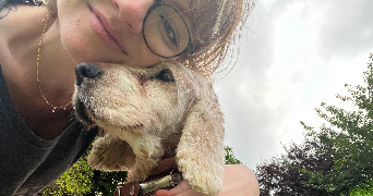 eloïse pet sitter à DOUVRIN 62138_4