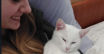 romane pet sitter à TOULOUSE 31000_3