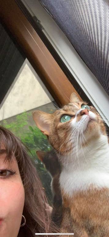 louna pet sitter à Pantin 93500_3