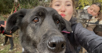 fleur pet sitter à CROZES HERMITAGE 26600_0