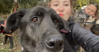 fleur pet sitter à CROZES HERMITAGE 26600