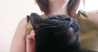 sandra pet sitter à BOURG DES COMPTES 35890_1