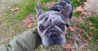 sandra pet sitter à AUBORD 30620_5