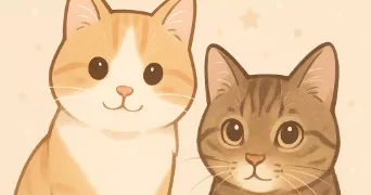 ludivine pet sitter à ROCHY CONDE 60510