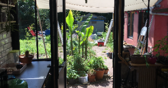 emmanuelle pet sitter à SOTTEVILLE LES ROUEN 76300_4