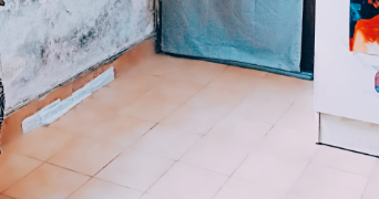 giulia pet sitter à IVRY SUR SEINE 94200_3