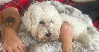 fanny pet sitter à ORGEVAL 78630_9