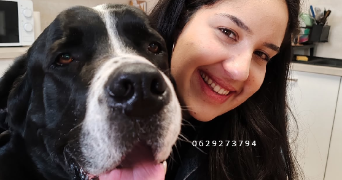 rita pet sitter à ALBI 81000_0