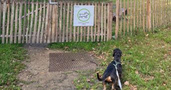 lou pet sitter à RENNES 35000_3