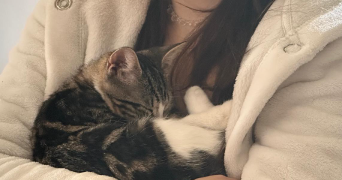 virginie pet sitter à TOURS 37100_2