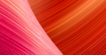 nadir pet sitter à VILLENEUVE D ASCQ 59491_0