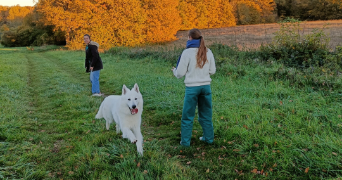 capucine pet sitter à METTRAY 37390_1