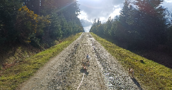 laura pet sitter à LOUDEAC 22600_6