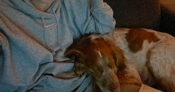 sarah pet sitter à TREMBLAY EN FRANCE 93290_1