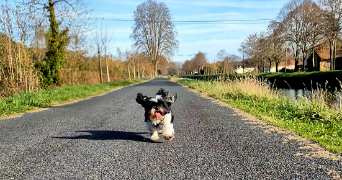 eulalie pet sitter à LALINDE 24150_1