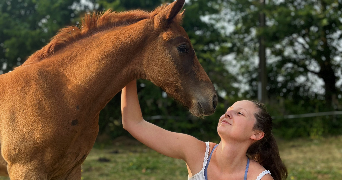 pauline pet sitter à CHATEAU GONTIER SUR MAYENNE 53200_0