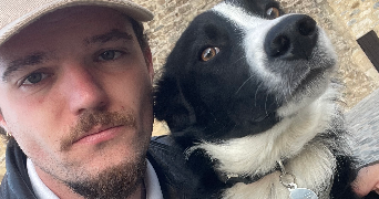 joey pet sitter à  30900