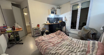 yang cat sitter à ST ETIENNE 42100_3