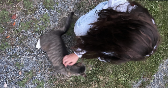clémentine pet sitter à BREST 29200