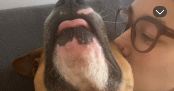 amandine pet sitter à APT 84400_1