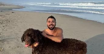 joel dog sitter à PINET 34850