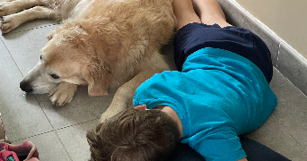 nathalie pet sitter à CROLLES 38920_1