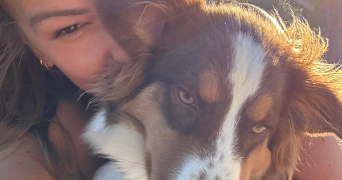 jennifer pet sitter à VILLIERS SUR MARNE 94350_18