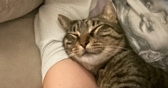 mélanie pet sitter à PARIS 19 75019_3