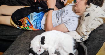 cerenys pet sitter à URRUGNE 64122_1