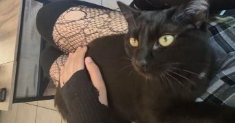 lana pet sitter à LANGON 33210_3