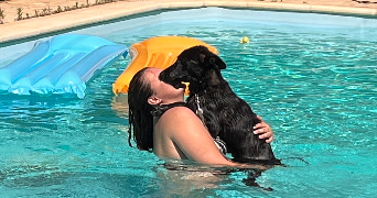 carla pet sitter à LA SEYNE SUR MER 83500_1