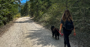 ondine pet sitter à BOIS COLOMBES 92270_2