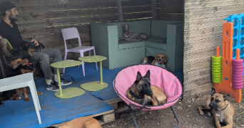 vincent pet sitter à CAMPAGNAN 34230_2