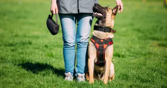 margaux pet sitter à VALLAURIS 06220