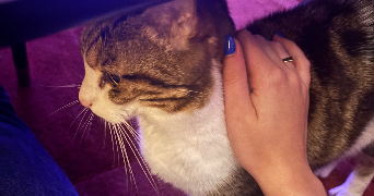 flavie pet sitter à RUEIL MALMAISON 92500_2