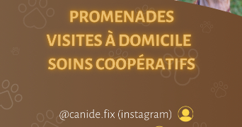 axelle pet sitter à NANCY 54000_7