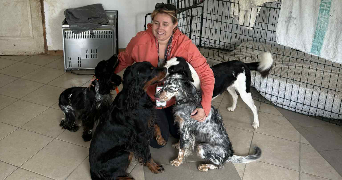marie laure dog sitter à VICQ SUR BREUILH 87260_0