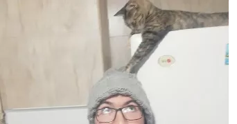 mehdi abdelaziz pet sitter à ARGENTEUIL 95100